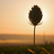 Image for article titled Shooting Challenge Sunset Gallery 2